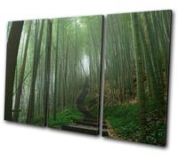 Landscapes Japanese Forest TREBLE TELA parete arte foto stampa