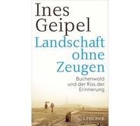 Landschaft ohne Zeugen: Buchenwald und der Riss der Erinnerung
