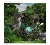 Landæus Trio A Crisis of Perception (CD)