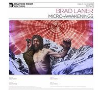 Laner, Brad - Micro-Awakenings