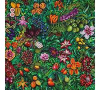 Laneri,Roberto - South Of No Border