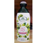 L'ANGELICA. 12 PEZZI - SHAMPOO USO FREQUENTE ML.250 0000000102824
