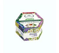 L'Angelica, Cofanetto Tisane Calde, Tisane Funzionali Active, Idea Regalo, Ventre Piatto, Dopo Pasto, Giusta Regola, Calma Colon, Della Sera Rilassante, Sollievo Stomaco, 60 Filtri