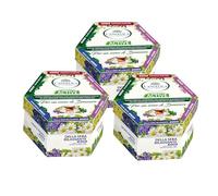 L'Angelica, Cofanetto Tisane Calde, Tisane Funzionali Active, Idea Regalo, Ventre Piatto, Dopo Pasto, Giusta Regola, Calma Colon, Della Sera Rilassante, Sollievo Stomaco, 3 Confezioni da 60 Filtri