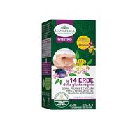 L'Angelica, Le 14 Erbe della Giusta Regola, Regolarità, 75 Compresse | Integratore Alimentare per il Transito Intestinale, Con Senna, Prugna e Cascara, Senza Lattosio, Vegano, 1 Confezione