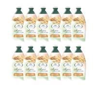 L'Angelica Officinalis Bagnoschiuma all'Avena, Nutriente e Idratante 12x500 | Bagnodoccia e Docciaschiuma, Con Estratto Naturale di Avena, Senza Parabeni o Siliconi, 1 Confezione