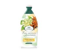 L'Angelica Officinalis Bagnoschiuma con Estratti di Fiore di Sambuco e Anice Stellato, Bagnodoccia Nutriente e Purificante, Docciaschiuma Senza Parabeni o Siliconi, 12 confezioni da 500 ml