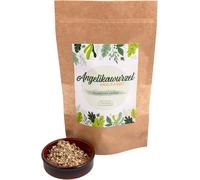 L'angelica Tisana alla radice Angelica | Tisana Digestiva Sgonfiante Rilassante