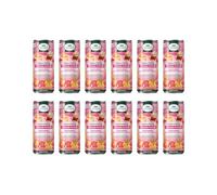 L'Angelica, Tisana a Freddo Drenante Anticellulite, Tisana con Ibisco Bianco, Ciliegio, Meliloto, Ortica e Orthosiphon, utili per Eliminare i Liquidi in Eccesso, Senza Zuccheri, 0 Calorie, 12 Lattine