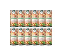 L'Angelica, Tisana a Freddo Ventre Piatto, Tisana Fredda a Base di Carvi, Finocchio, Menta e Cardamomo per l'Eliminazione dei Gas Intestinali, Senza Zuccheri, 0 Calorie, 12 Lattine