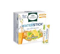 L'Angelica, Waterstick Anticell, Gusto Tè al Limone, Con Estratto di Centella, Vitamine C, B, Zero Zuccheri, Zero Calorie, Vitamine, Minerali, 1 Astuccio da 12 Stick