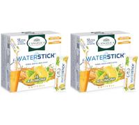 L'Angelica, Waterstick Anticell, Gusto Tè al Limone, Con Estratto di Centella, Vitamine C, B, Zero Zuccheri, Zero Calorie, Vitamine, Minerali, 1 Astuccio da 12 Stick (Confezione da 2)