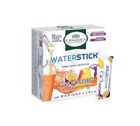 L'Angelica, Waterstick Brucia Grassi, Gusto Passion Fruit e Pesca, Con Moringa, Cola, Zero Zucceri, Zero Calorie, Vitamine, Minerali, 1 Astuccio da 12 Stick