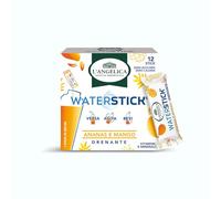 L'Angelica, Waterstick Drenante, 1 astuccio da 12 Stick Aroma per Acqua Senza Zucchero, Gusto Ananas e Mango, Ideale contro Stanchezza e Affaticamento