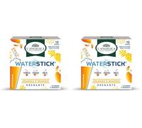L'Angelica, Waterstick, Gusto Ananas e Mango, Drenante, Con Vitamine e Minerali, Contro Stanchezza e Affaticamento, Zero Zuccheri & Zero Calorie, Senza Conservanti, 1 Astuccio da 12 Stick