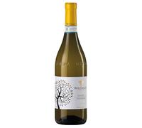 Langhe DOC Favorita Bel Colle 2024, 0,75 ℓ