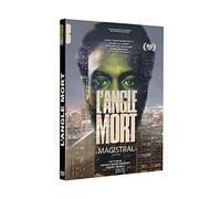 l'angle Mort (DVD) Folly, Jean-Christophe, Carre, Isabelle, Farahani, Golshifteh