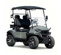 LANGWEI Verde,Carrello da Golf Elettrico, Veicolo Elettrico A 2 Posti Robusto, Omologato per La Circolazione Stradale, con Comodi Sedili di Lusso Adatti A Qualsiasi Tipo di Terreno