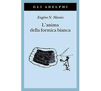 L' anima della formica bianca