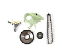 Lanliuhui Store Kit guida pompa olio e catena di distribuzione compatibile con BMW 228 528i 428i 320i X1 X3 X4 X5 N26 N20