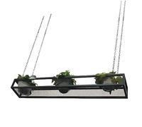 Lanmmraifc Scaffale portaoggetti galleggiante, portabottiglie in metallo per piante sospese, fiori, vasi, portabottiglie, espositore decorativo da soffitto per cucina, bar, balcone, nero(140x25x15cm)