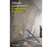 L'anomalia italiana. Un profilo storico dagli anni ottanta ai giorni nostri