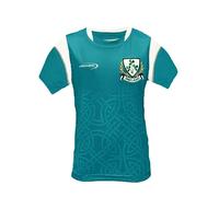 Lansdowne Kids Ireland Celtic Sublimated Performance T-Shirt