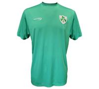 Lansdowne Men's Ireland Green Shamrock Crest Performance Top