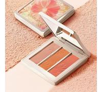LANSUR - Explore Nature Series 3-Colors Blush Palette 6.2g