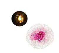 Lanterna a Gas Copertura in Garza Mantelli Coperchio Lampada a Cherosene Filato di Cotone Paralume stoppino Uso Esterno per la casa 6 Pezzi / 1 Set Comodo e Pratico Practical Treatment