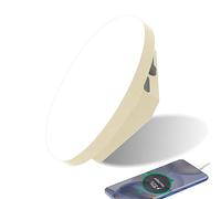 Lanterna da campeggio portatile 9900 mAh, Power Bank, 2000 lm, tenda ricaricabile IP65 resistente all'acqua LED lampada Camping, Lavori, Caccia, Pesca, Escursionismo, Emergenza, Guasto