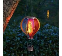 E_0002_S7196930 Smart Garden Decorazione luminosa Smart Garden CoolFlame Rainbow