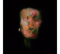 Lanterns On the Lake Versions of Us (Vinyl LP) 12" Album