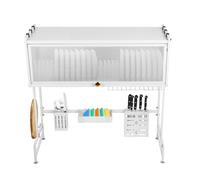 LANTUS Stoccaggio Lavello Cucina, Asciugatrice/Scolapiatti, Cucina Antiruggine con porta, Scolapiatti da cucina, Grande ripiano di stoccaggio, 65 x 30 x 78 cm, bianco