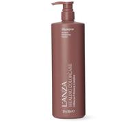 L'ANZA Healing Shampoo per Capelli Colorati Mantiene il Colore più a Lungo, Deterge e Preserva il Colore, 1000 ml