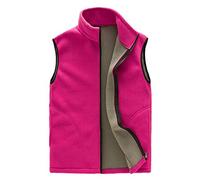 LaoZan Luce Asciugatura Veloce Elasticità Gilet in Pile Polare Termico da Donna Giacca da Esterno Casual Senza Maniche (Pink(Donna),M)