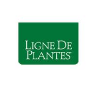 LIGNE DE PLANTES Lapacho 15 Ampolle - Integratore polivalente