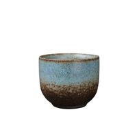 LAPADULA Infusore per il Tè Tazza da tè in ceramica for uso domestico, piccola tazza da caffè cinese Zen, set da tè retrò Kung Fu, ciotola da tè Tazze da Tè(B)