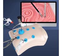 Laparoscopic Box Trainer per chirurgia laparoscopica, con 4 strumenti chirurgici e 10 moduli di allenamento per simulazione chirurgica