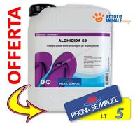 Antialghe Alghicida Liquido Schiarente Pulizia Piscina non Schiumogeno 1-5-10 lt