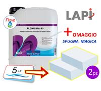 Antialghe Alghicida Liquido Schiarente Pulizia Piscina non Schiumogeno 1-5-10 lt