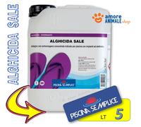 LAPI Alghicida SALE → 5 / 10 Lt ANTI ALGHE Concentrato per Impianti Elettrolisi