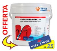 Lapi Correttore pH+ Più Granulare - Lapi Correttore pH+ Più Granulare - Confezione da 25 kg
