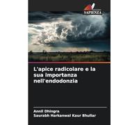 L'apice radicolare e la sua importanza nell'endodonzia