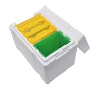 L'apicoltura Schiuma Per Api Scatola Multiuso Regina Allevamento Alveare Di Accoppiamento Apicoltore Fornitore Strumenti Apicoltura Per Nido Forniture