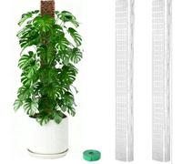 Lapiglo Set di pali in plastica per piante rampicanti, 61 cm, a forma di D, progettati per l'allenamento verticale e una maggiore ritenzione di nutrienti (2 pezzi)