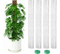 Lapiglo Set di pali in plastica per piante rampicanti, 61 cm, a forma di D, progettati per l'allenamento verticale e una maggiore ritenzione di nutrienti (4 pezzi)