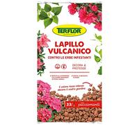 Lapillo Vulcanico 33 Lt Inerte Drenante Substrato Pacciamante per Piante Aiuole Vialetti