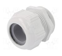 Lapp Zubehör - kabelverschraubung SKINTOP str-m63 X 1,5 r7035lgy