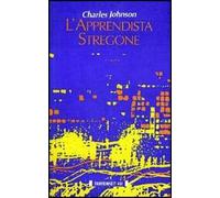 L' apprendista stregone